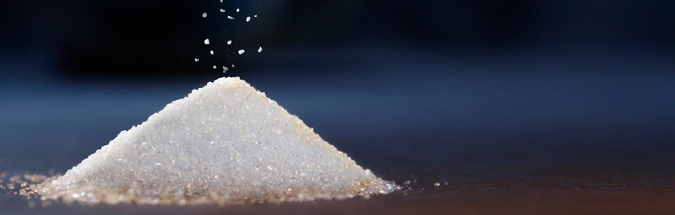 Efficient, Oil-Free, and On Time - MVR Innovation at a Sugar Refinery Efficient, Oil-Free, and On Time - MVR Innovation at a Sugar Refinery